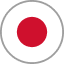 flag icon